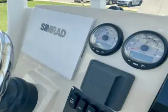 Thumbnail von Boston Whaler 250 Dauntless