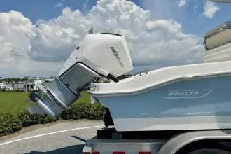 Thumbnail von Boston Whaler 250 Dauntless