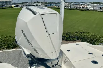 Thumbnail von Boston Whaler 250 Dauntless