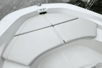 Thumbnail von Boston Whaler 170 Montauk