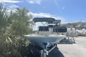 Thumbnail von Boston Whaler 170 Montauk