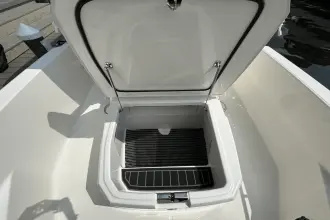 Thumbnail von Boston Whaler 220 Dauntless