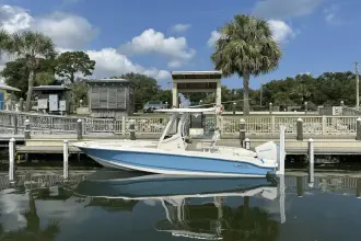 Thumbnail von Boston Whaler 220 Dauntless