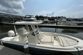 Thumbnail von Boston Whaler 220 Dauntless