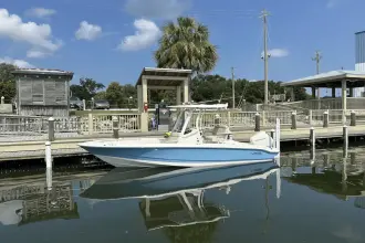 Thumbnail von Boston Whaler 220 Dauntless