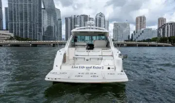 Thumbnail von シー レイ 43 サンダンサー