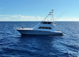 Thumbnail von Viking 72 Convertible