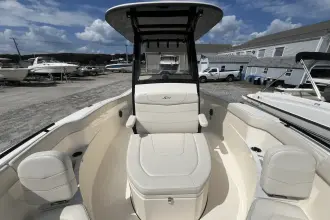 Thumbnail von Scout 240 XSF