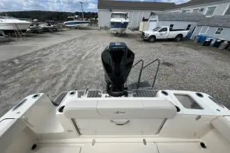 Thumbnail von Scout 240 XSF