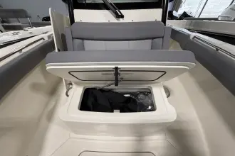Thumbnail von Boston Whaler 250 Outrage