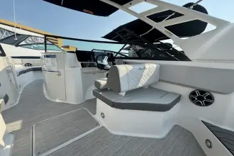 Thumbnail von Sea Ray SDX 250 Außenborder