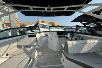 Thumbnail von Sea Ray SDX 250 Außenborder
