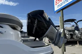 Thumbnail von Sea Ray 260 SLX-OB