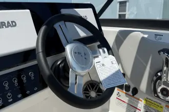 Thumbnail von Sea Ray SDX 250 Outboard