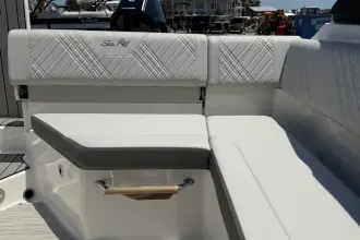 Thumbnail von Sea Ray SDX 250 Outboard