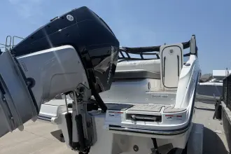 Thumbnail von Sea Ray SDX 250 Outboard
