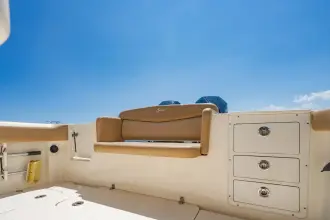 Thumbnail von Scout 305 LXF