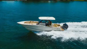 Thumbnail von Scout 305 LXF