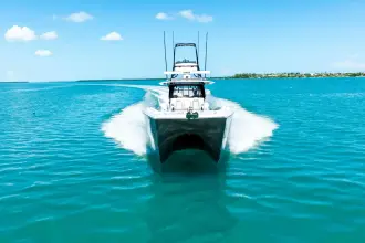 Thumbnail von Freeman 42 LR