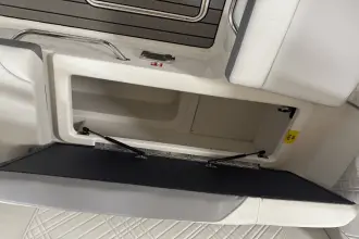 Thumbnail von Sea Ray SDX 230