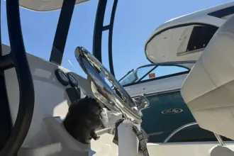 Thumbnail von Boston Whaler 250 Dauntless