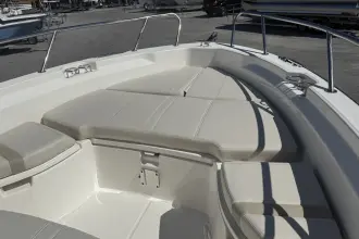 Thumbnail von Boston Whaler 250 Dauntless
