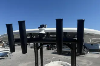 Thumbnail von Boston Whaler 250 Dauntless