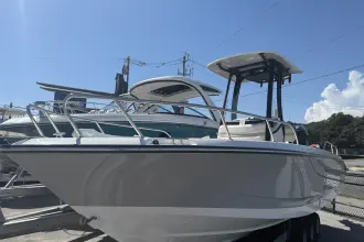 Thumbnail von Boston Whaler 250 Dauntless