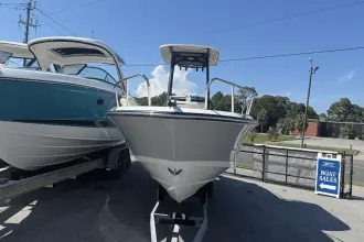 Thumbnail von Boston Whaler 250 Dauntless