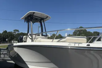 Thumbnail von Boston Whaler 250 Dauntless