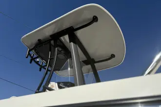 Thumbnail von Boston Whaler 250 Dauntless