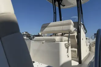 Thumbnail von Boston Whaler 250 Dauntless