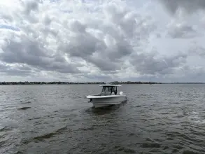 Thumbnail von Boston Whaler 360 Outrage