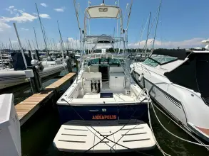 Thumbnail von Tiara Yachts 3200 Open