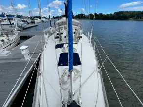 Thumbnail von Pearson 530 Dalmation