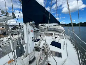 Thumbnail von Pearson 530 Dalmation