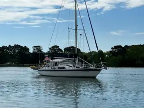 Thumbnail von Pearson 530 Dalmation