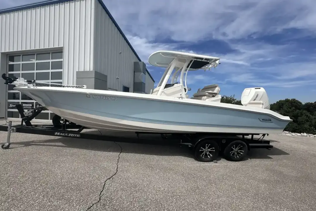 Boston Whaler 250 Dauntless