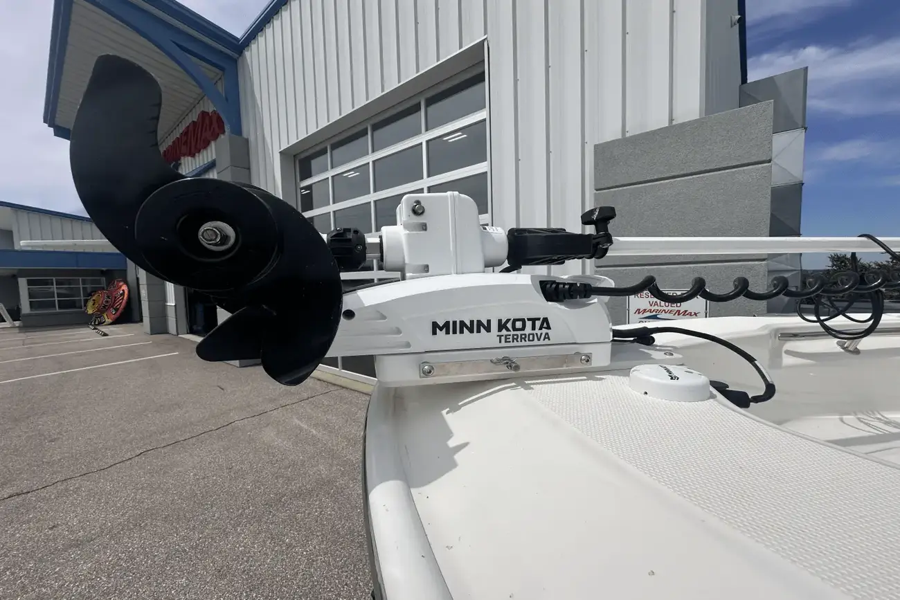 Thumbnail von Boston Whaler 250 Dauntless