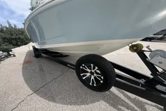 Thumbnail von Boston Whaler 250 Dauntless