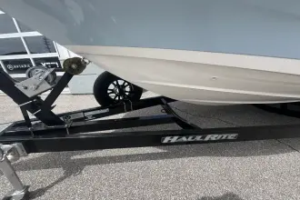 Thumbnail von Boston Whaler 250 Dauntless