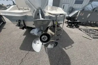 Thumbnail von Boston Whaler 250 Dauntless