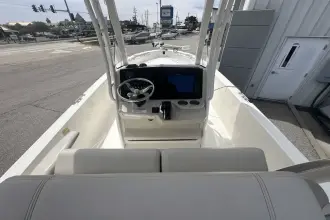 Thumbnail von Boston Whaler 250 Dauntless