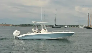Thumbnail von Boston Whaler 250 Dauntless BOSTON WHALER 250