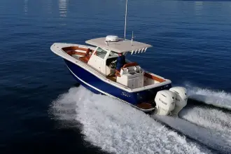 Thumbnail von Scout 300 LXF