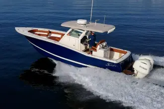 Thumbnail von Scout 300 LXF