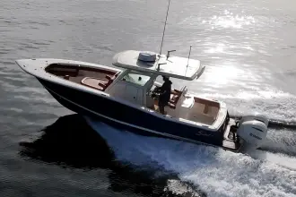 Thumbnail von Scout 300 LXF