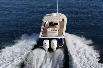 Thumbnail von Scout 300 LXF