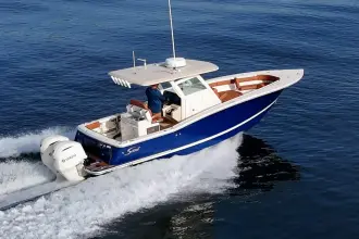 Thumbnail von Scout 300 LXF