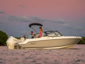 Thumbnail von Boston Whaler 210 Vantage
